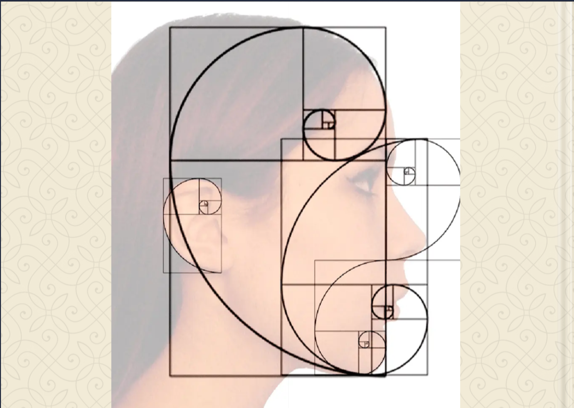 Фибоначи оживя в НТГ: дигитална книга с идеи, цветове и вдъхновение от 8.г клас